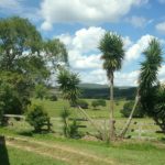 camping rancho alegre-encruzilhada do sul-rs-1