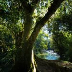 camping rancho hanna-petar-sp-14