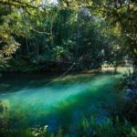 camping rancho hanna-petar-sp-8