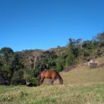 camping recanto da siriema-nova friburgo-rj-6