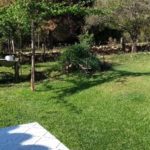 camping restaurante dona doca-delfinopolis-mg-7