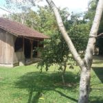 camping rio novo-corupá-sc-2