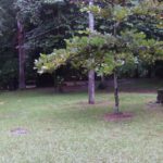camping rio novo-corupá-sc-9