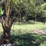 camping tia maricota-guarujá-sp-2