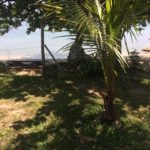 camping tia maricota-guarujá-sp-3
