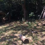 camping tia maricota-guarujá-sp-4
