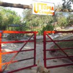 camping utopia-bananeiras-PB-1
