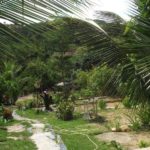 camping utopia-bananeiras-PB-4