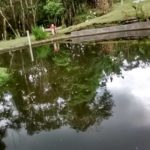 montanha sitio camping-sao lourenco da serra-sp-4