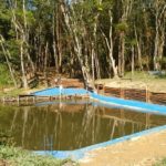 montanha sitio camping-sao lourenco da serra-sp-7