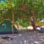 Caju Brisa Camping-cajueiro da praia-PI-14