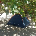 Caju Brisa Camping-cajueiro da praia-PI-2