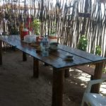 Caju Brisa Camping-cajueiro da praia-PI-4