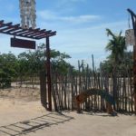 Caju Brisa Camping-cajueiro da praia-PI-6
