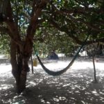 Caju Brisa Camping-cajueiro da praia-PI-8