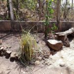 Camping Alquimia-Palmas-TO-1