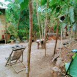 Camping Alquimia-Palmas-TO-3