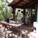 Camping Alquimia-Palmas-TO-4
