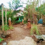 Camping Alquimia-Palmas-TO-6