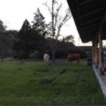 Camping Cachoeira Formosa-Rio dos Cedros-SC