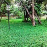 Camping CEP Lago Hotel-Lagoa Santa-MG-5