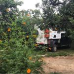 Camping Canto da Coruja-São Jorge-Chapada dos Veadeiros-GO-13