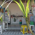 Camping Ibaté-Baía da Traição-PB 4