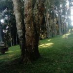 Camping Mariquita-Ponta Grossa-PR-9