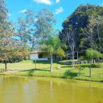 Camping Pousada Ruvina-Ribeirão Claro-PR-1