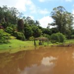 Camping Pousada Ruvina-Ribeirão Claro-PR-4
