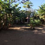 Camping Pouso das Bananeiras-Caete Açú-BA -8