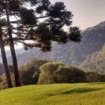 Camping Princisa dos Campos-Jaquirana-RS 5