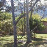 Camping Quiosque Novo Horizonte-Chapada Diamantina-Palmeiras-BA 1