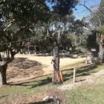 Camping Termas do Gravatal – SC 4