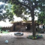 Iguanas Camping-Alter do Chão-Santarém-PA 1