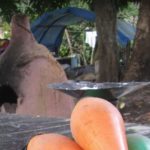 Iguanas Camping-Alter do Chão-Santarém-PA 6