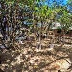 camping Balneário Raio de Sol-Faxinal-PR 6