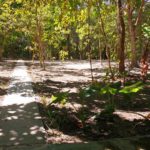 camping PRimavera-Cavalcante-GO-4