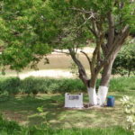 Camping Rancho do Ely-Aquidauana-16