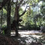camping da ilha-Joanópolis-SP-5