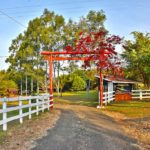camping fazenda sakura-Brotas-SP-5