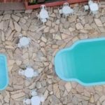 camping fogo de chão-Búzios-RJ 4