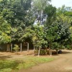 camping recanto dos pássaros-itamambuca-ubatuba-SP-3