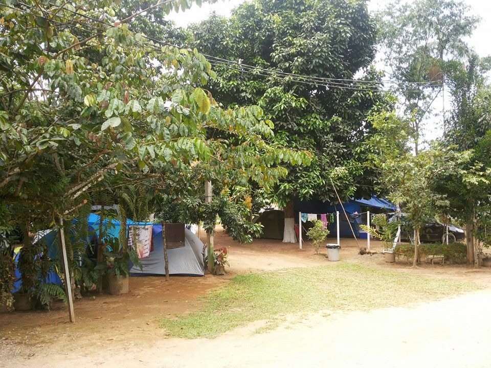camping recanto dos pássaros-itamambuca-ubatuba-SP-5