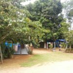 camping recanto dos pássaros-itamambuca-ubatuba-SP-5