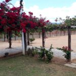 Apoio RV – Casa do Park – Jacobina-BA 11