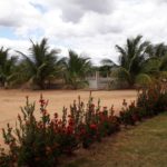 Apoio RV – Casa do Park – Jacobina-BA 15