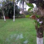 Camping Passarela do Balça-Peruíbe-SP 2