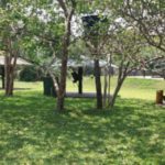 Camping Balneário Por do Sol – Bodoquena -5