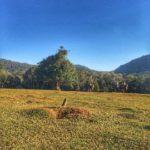 Camping Sitio Tradição-Gramado-RS-4